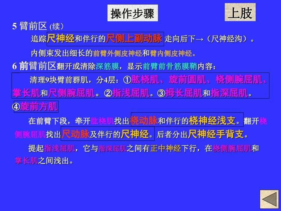 《局解操作上肢》PPT课件_第5页