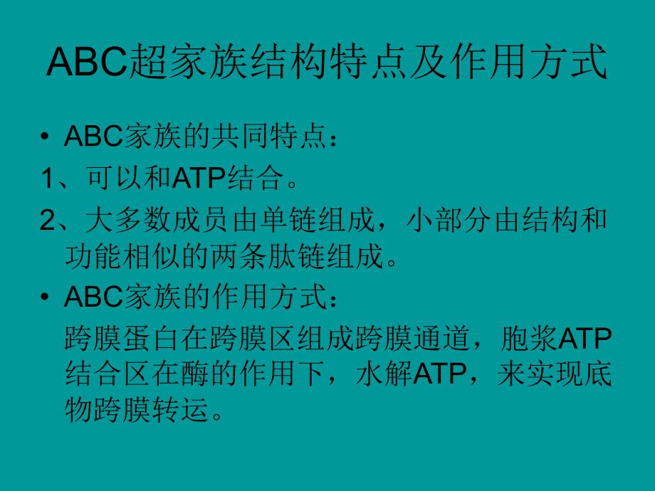 ABC超家族(基础).ppt_第2页