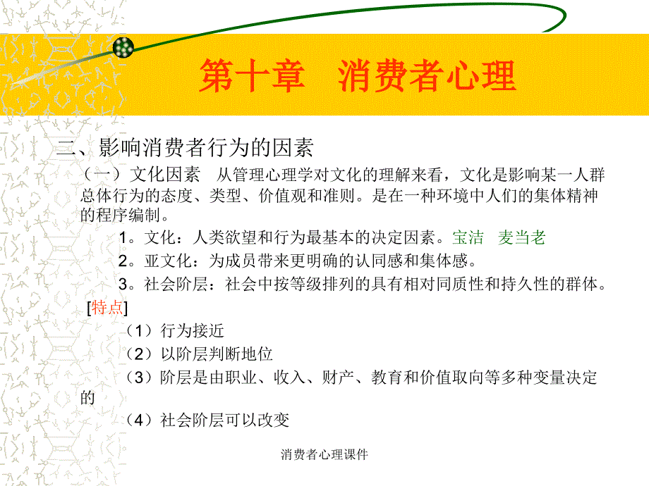 消费者心理课件_第4页