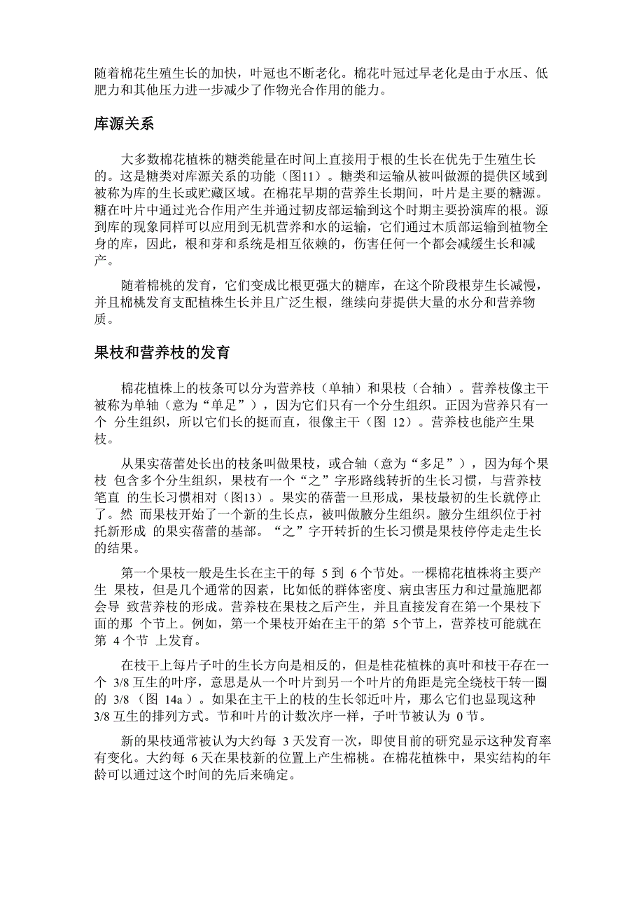 棉花的生长和发育完整版_第4页