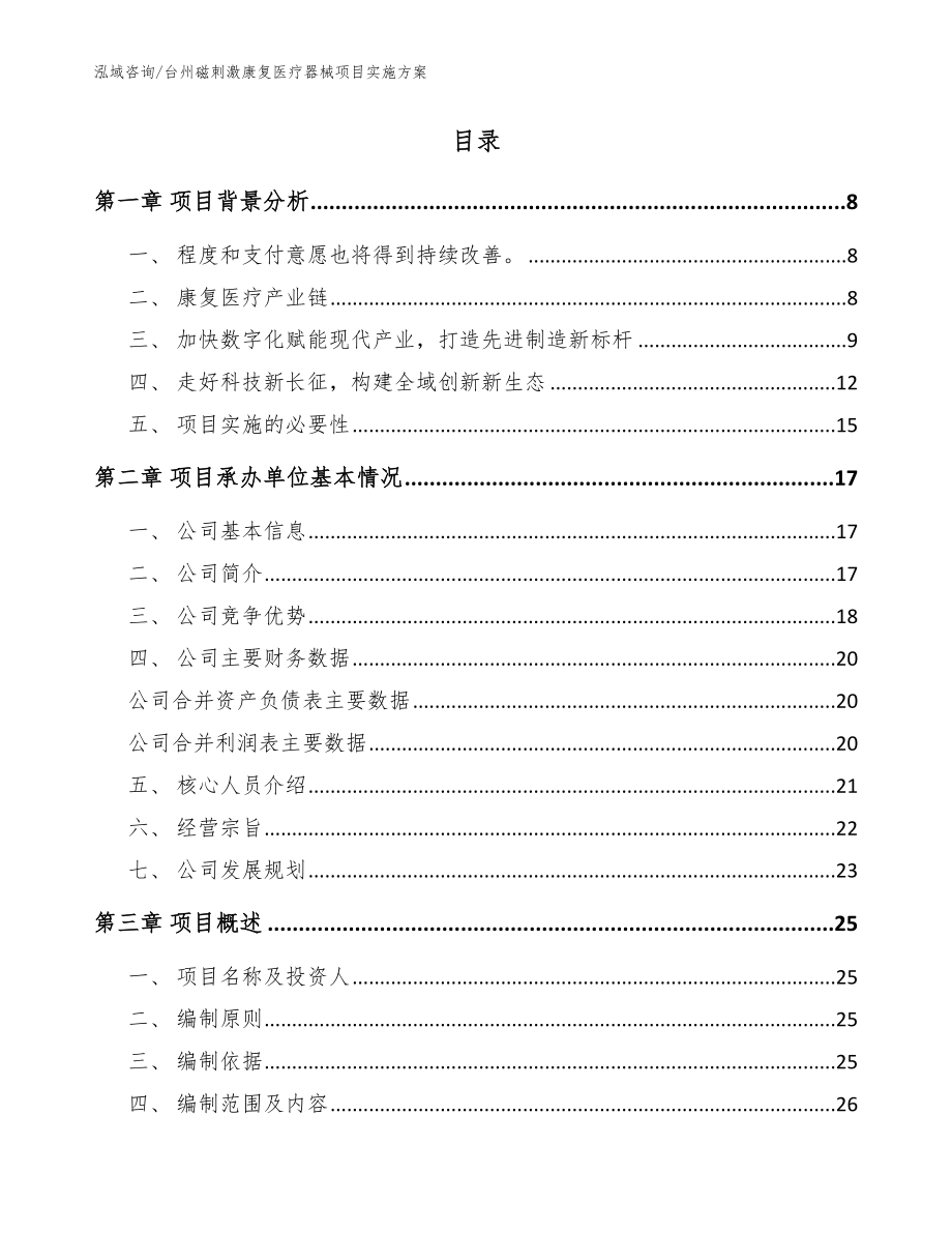 台州磁刺激康复医疗器械项目实施方案_范文模板_第2页