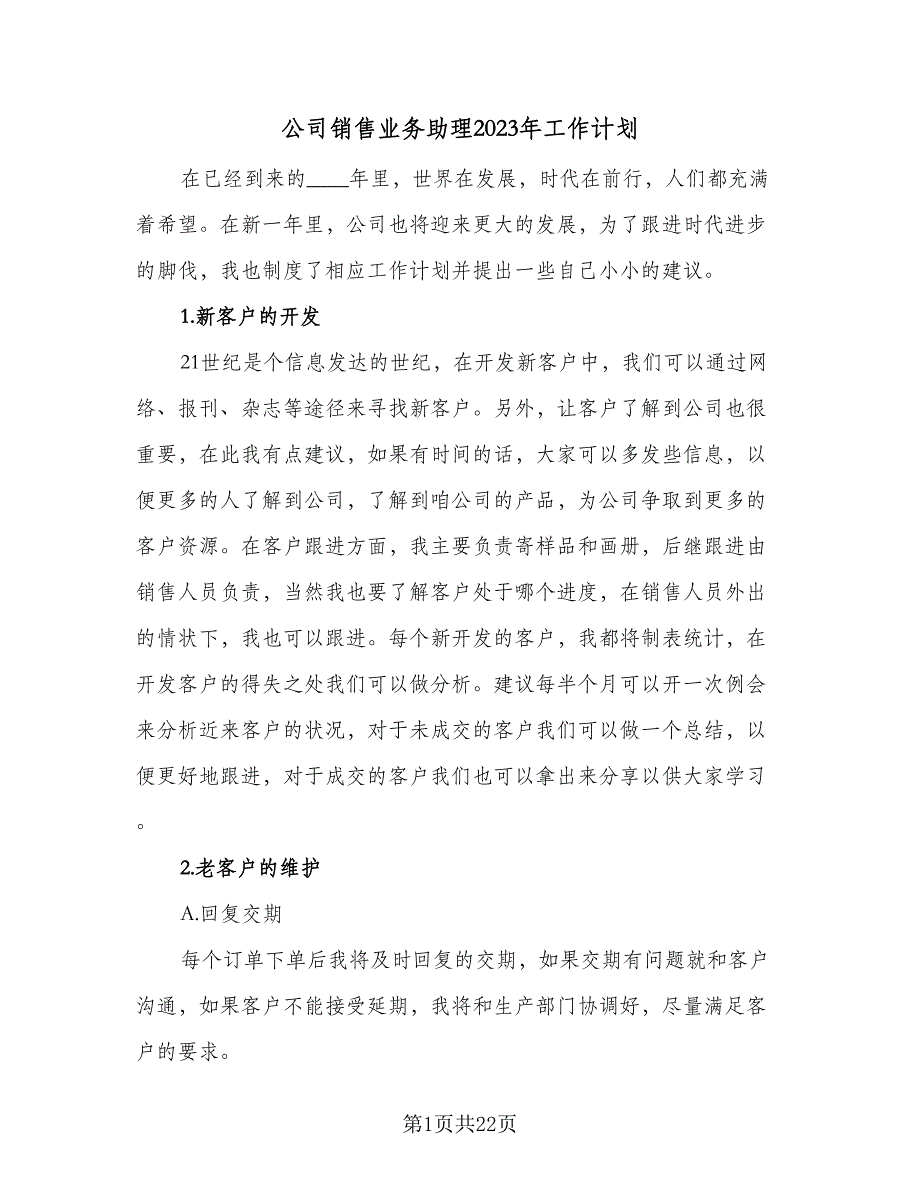 公司销售业务助理2023年工作计划（四篇）.doc_第1页