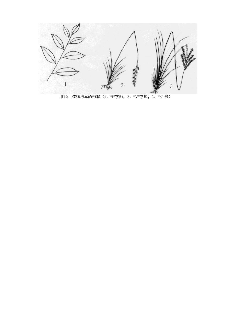 植物标本的采集、制作和保存方法_第5页