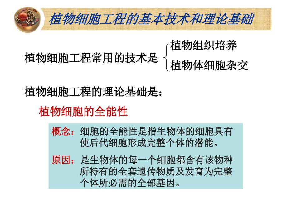 选修三植物细胞工程_第3页