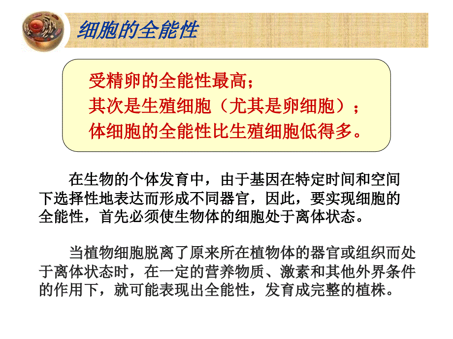 选修三植物细胞工程_第4页