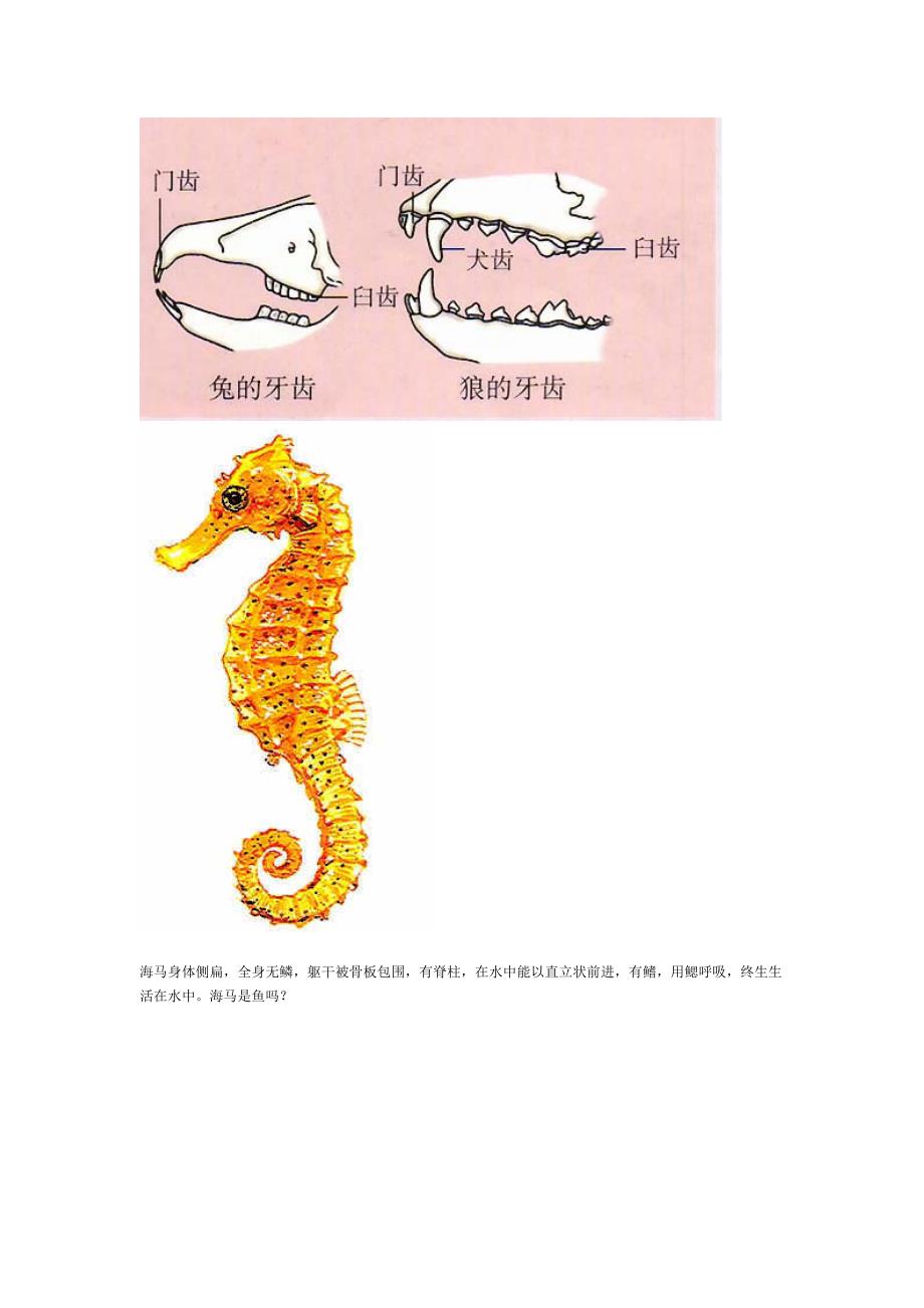 生物教学图片素材.doc_第1页