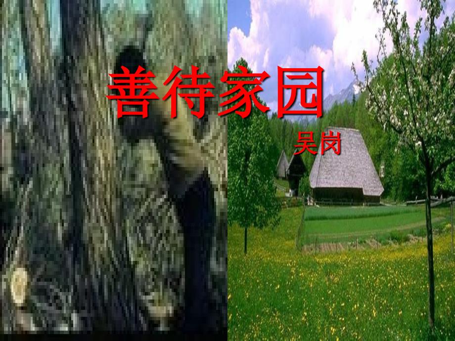 《善待家园》课件1_第1页