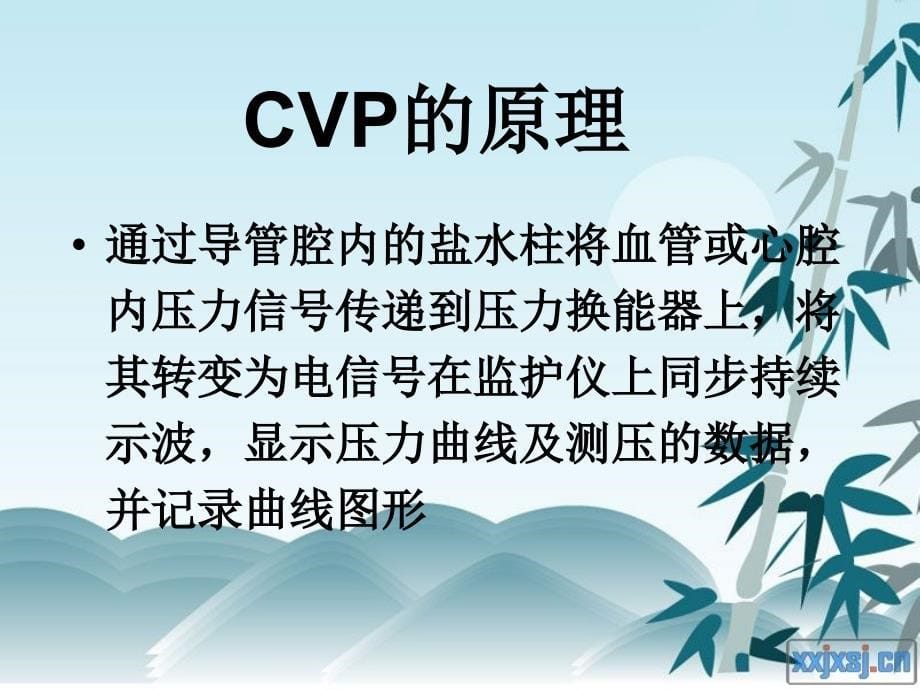 测量CVP的相关知识.ppt_第5页