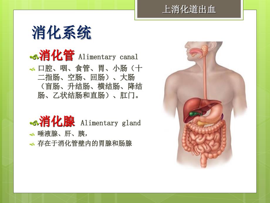 上消化道出血患者的护理PPT课件_第4页