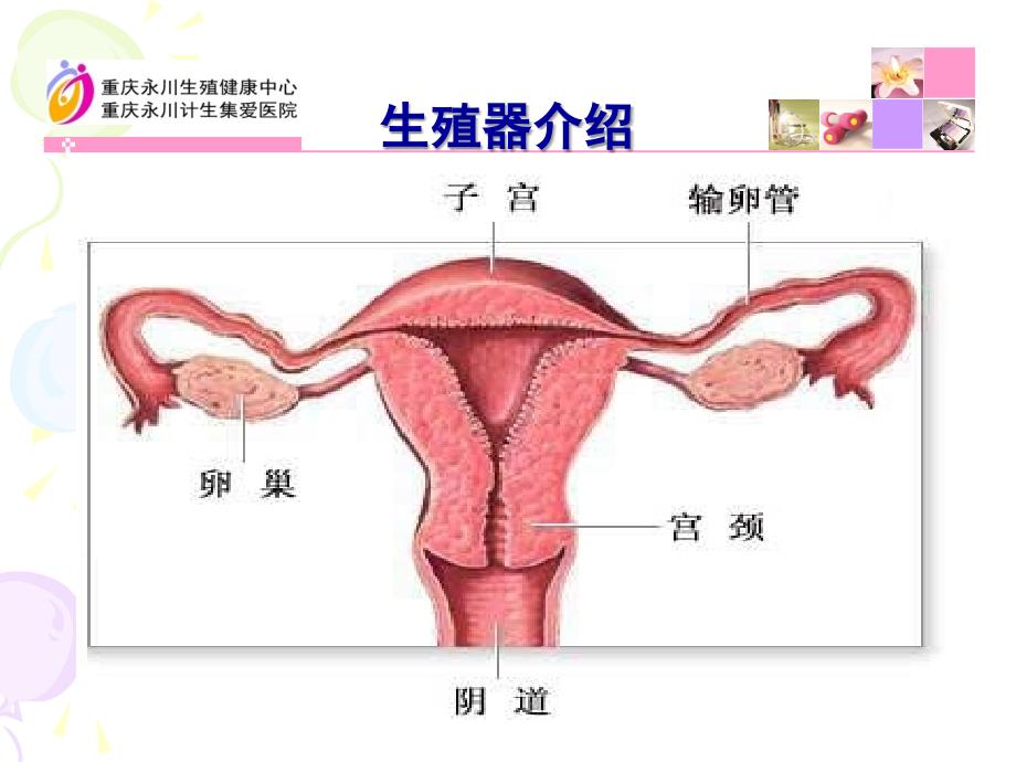 最新健康宫颈PPT文档_第1页