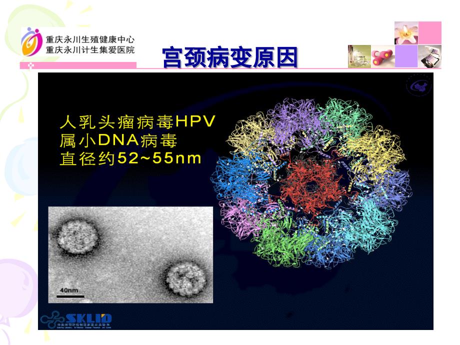 最新健康宫颈PPT文档_第4页