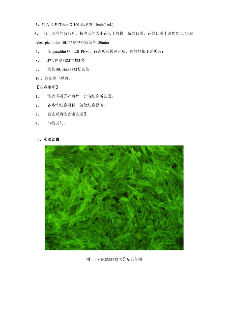 细胞实验细胞骨架组分的荧光染色观察_第3页