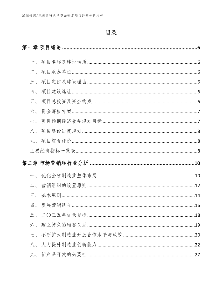 凤庆县特色消费品研发项目经营分析报告模板参考_第1页