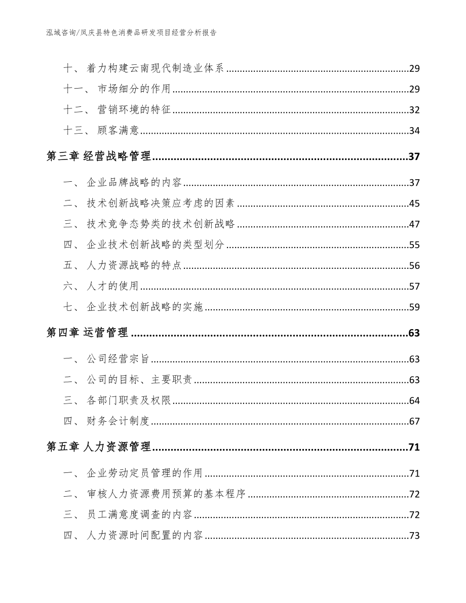 凤庆县特色消费品研发项目经营分析报告模板参考_第2页