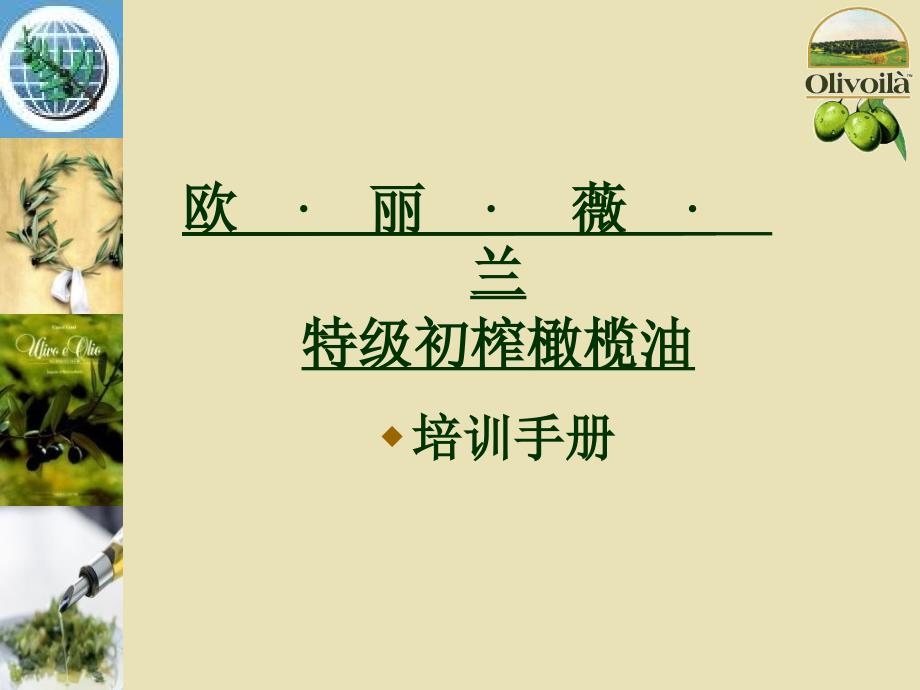 欧丽薇兰培训_第1页