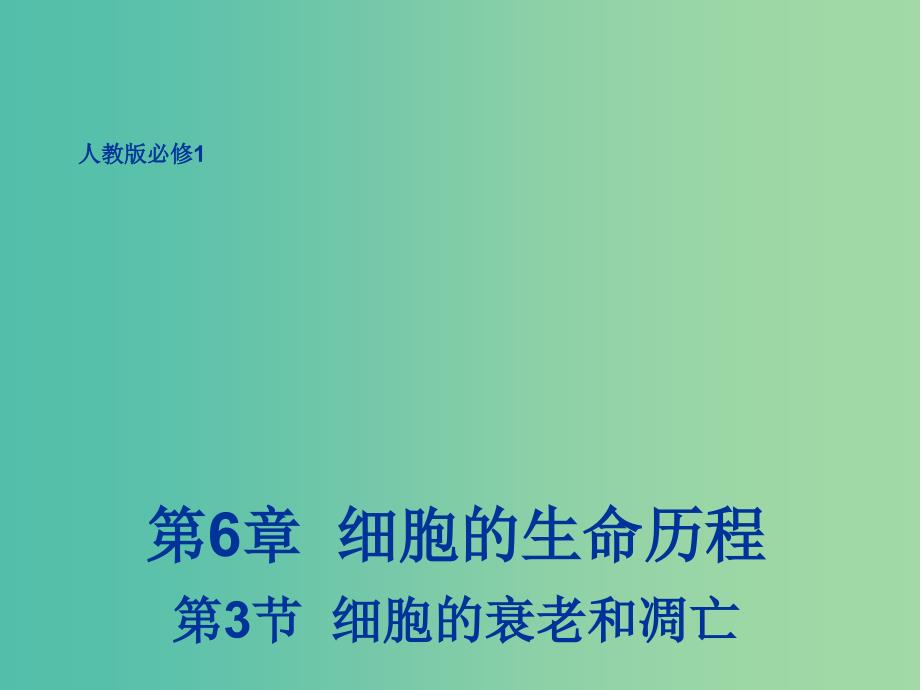 高中生物 6.3 细胞的衰老和凋亡课件 新人教版必修1.ppt_第1页