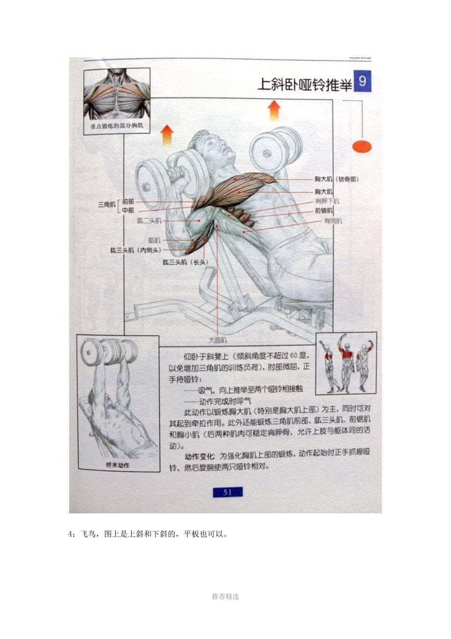 全身肌肉健身计划_第5页