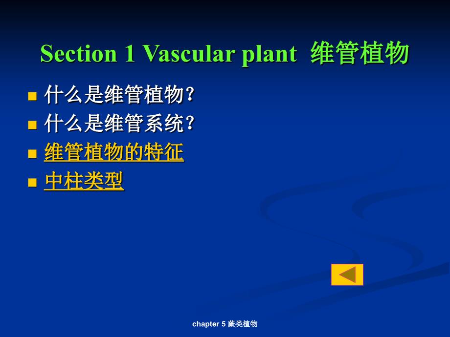 chapter 5 蕨类植物课件_第2页