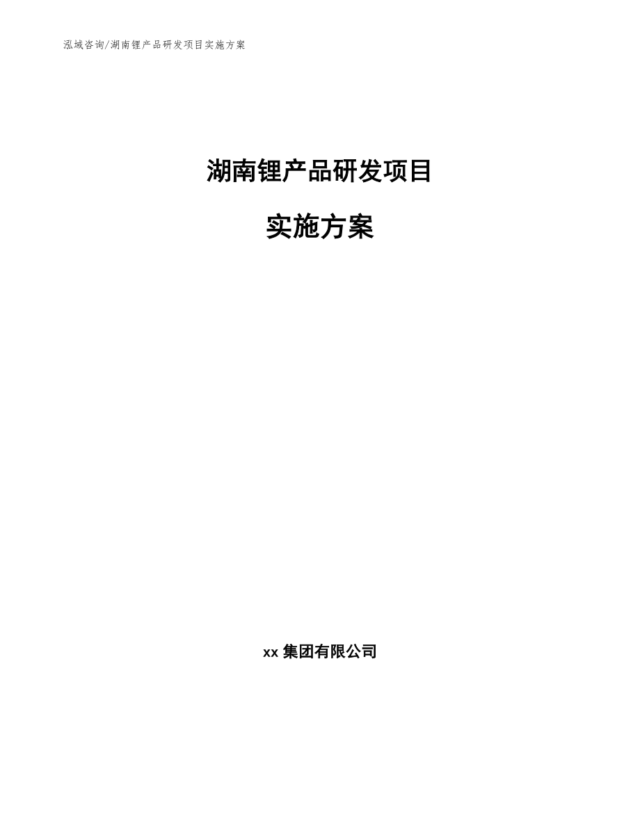 湖南锂产品研发项目实施方案（范文模板）_第1页