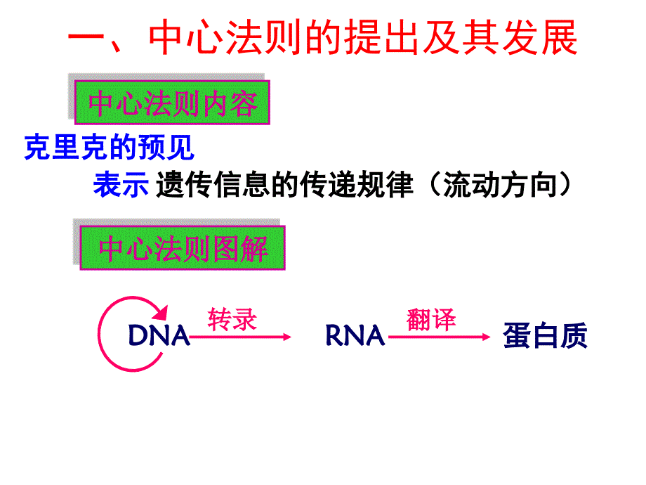 人教版必修二第4章第2节基因对性状的控制（共27张PPT）_第4页