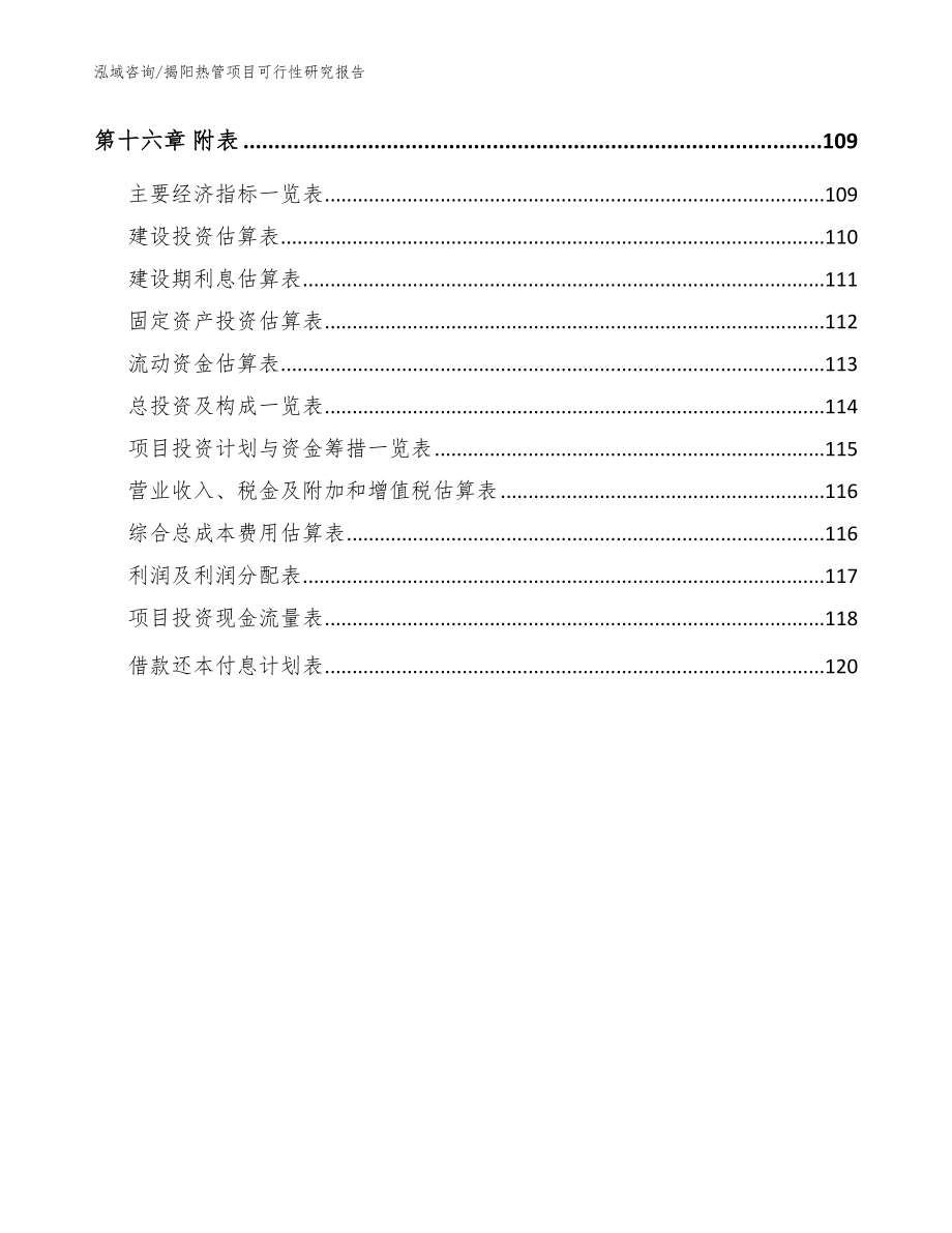 揭阳热管项目可行性研究报告【模板范本】_第5页