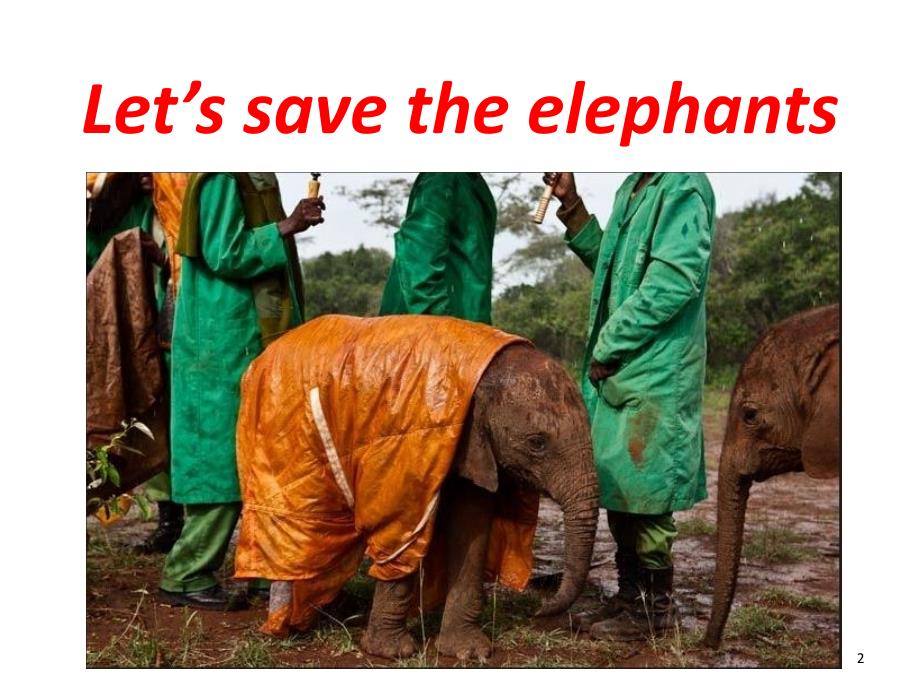 Let’s save the elephants阅读理解的课堂解析PPT精品文档_第2页