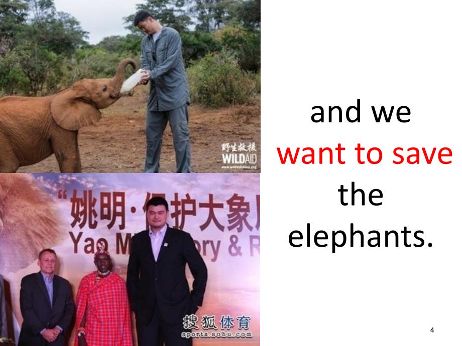 Let’s save the elephants阅读理解的课堂解析PPT精品文档_第4页