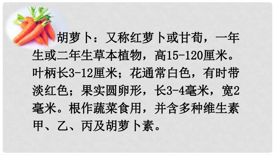 三年级语文上册 第4单元 13 胡萝卜先生的长胡子课件 新人教版_第3页