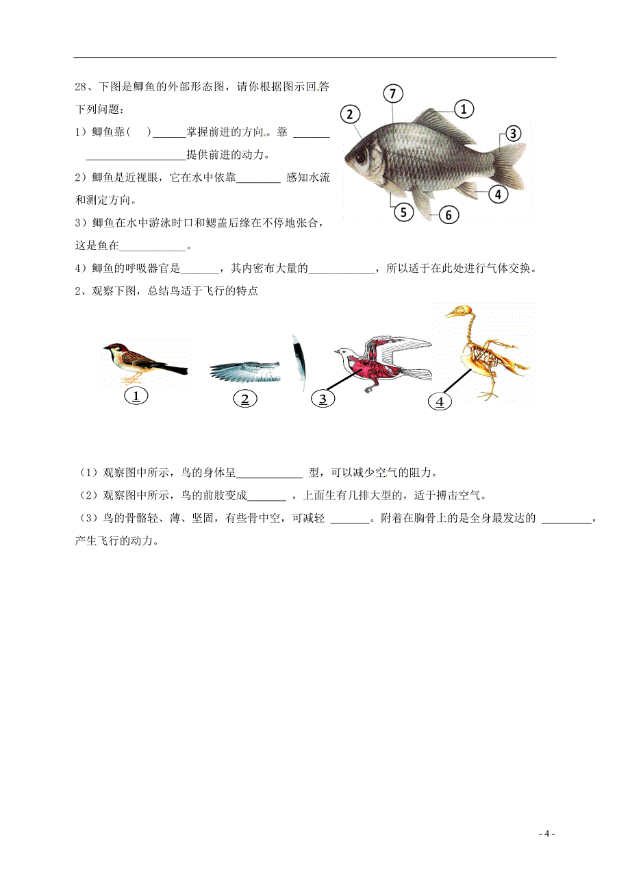 山东省临沂市平邑县2017-2018学年八年级生物10月月考试题（无答案） 新人教版_第4页