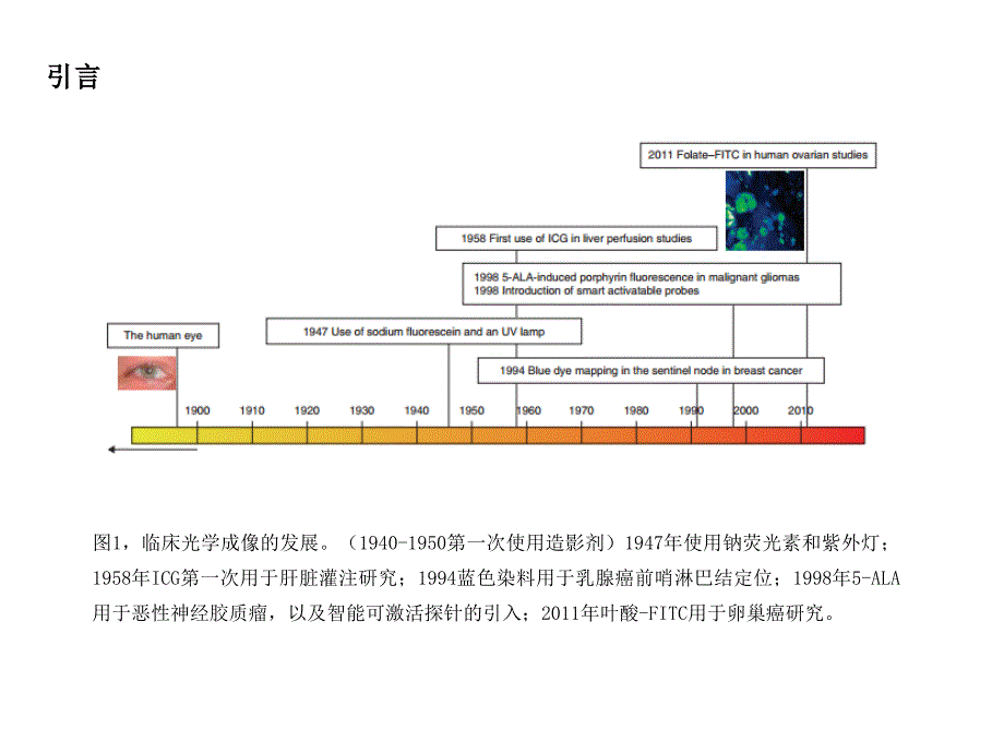 opticalinnovations in surgery ppt课件_第3页