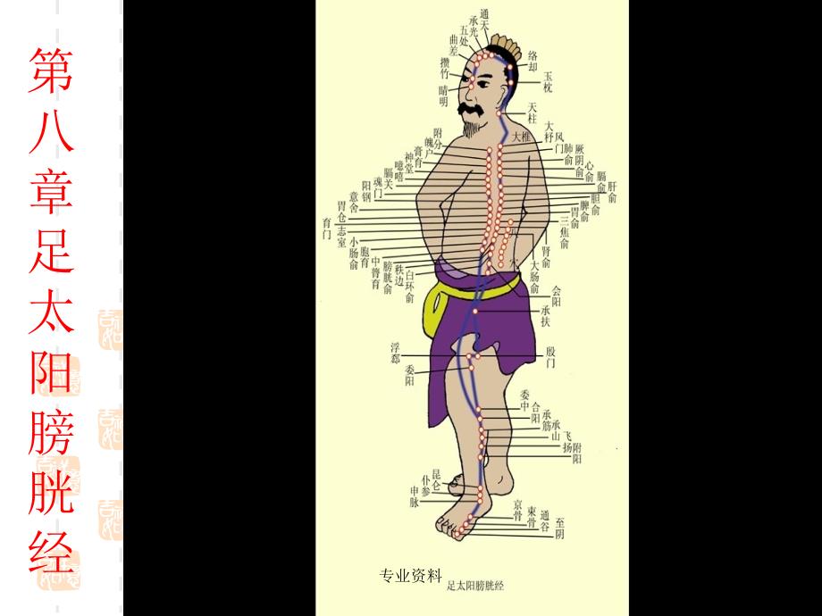 第足太阳膀胱经终稿稿#专家指导_第1页