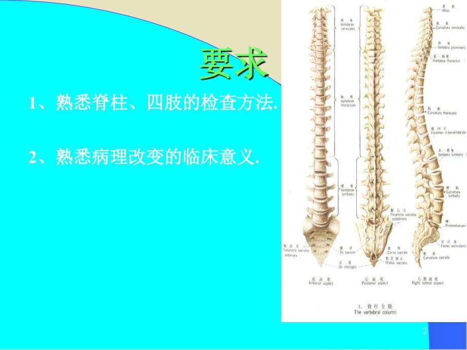 脊椎四肢检查_第2页