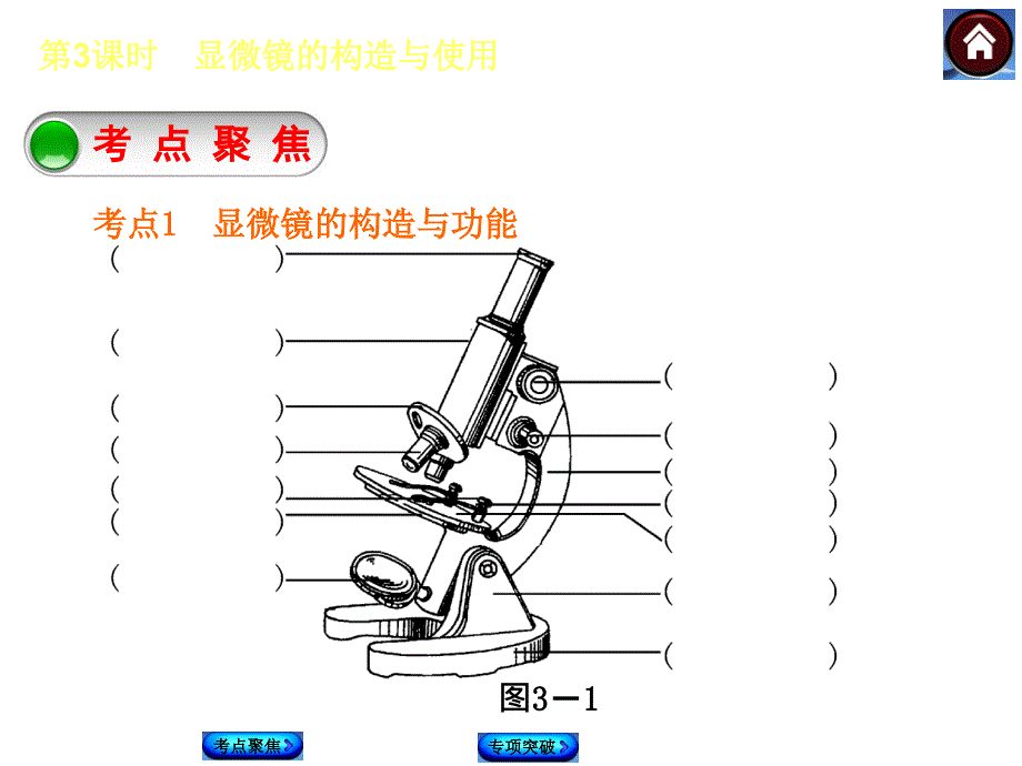 第3课时显微镜的构造与使用_第2页