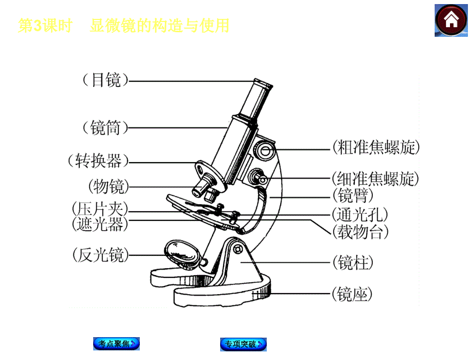 第3课时显微镜的构造与使用_第3页