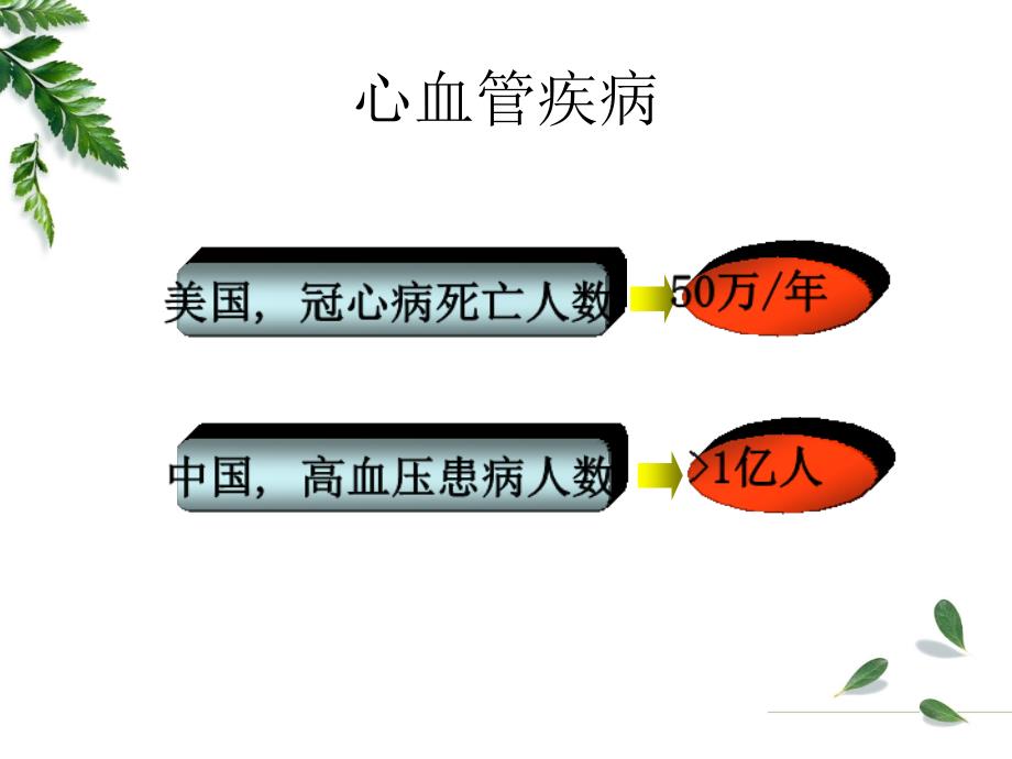 心力衰竭病理学教研室课件_第2页