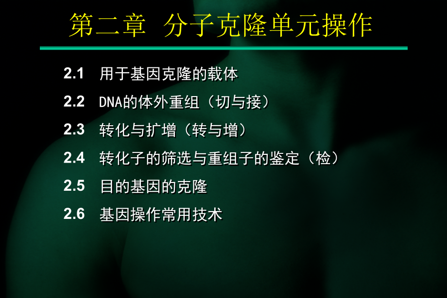 基因工程课件：第二章 分子克隆（总）_第3页