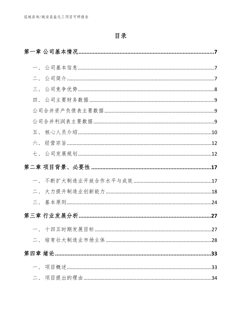 姚安县盐化工项目可研报告_第1页