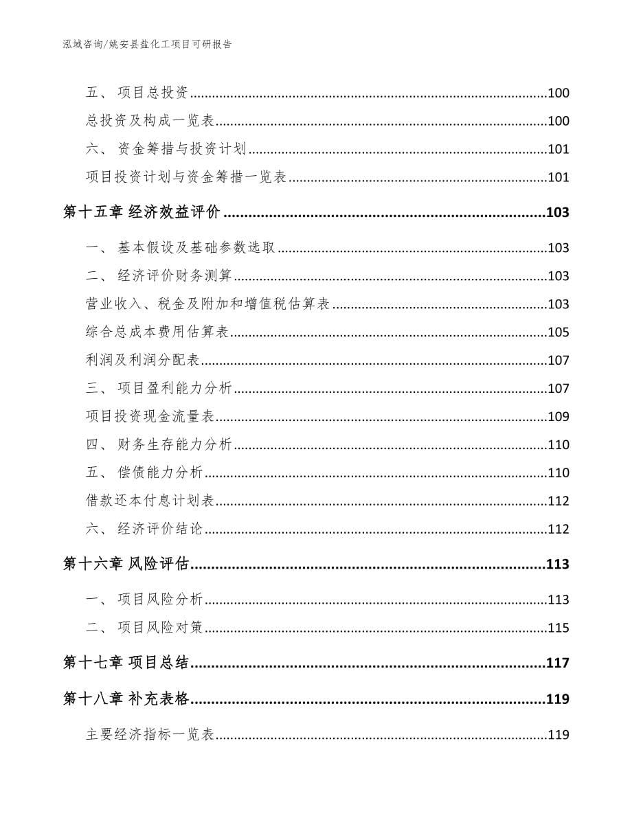 姚安县盐化工项目可研报告_第5页