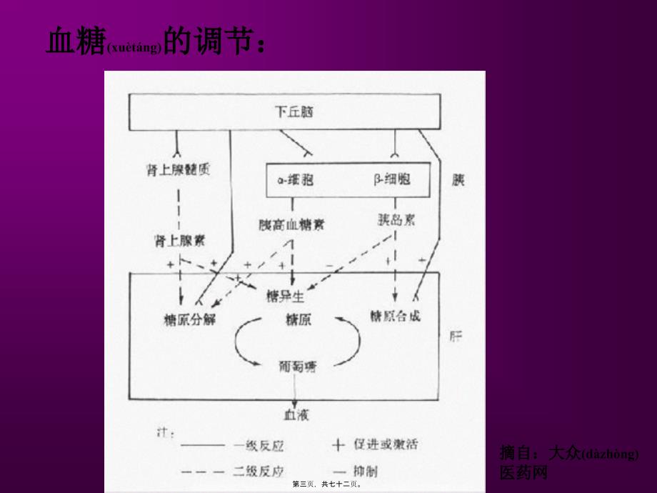 医学专题—糖尿病营养与膳食25612_第3页