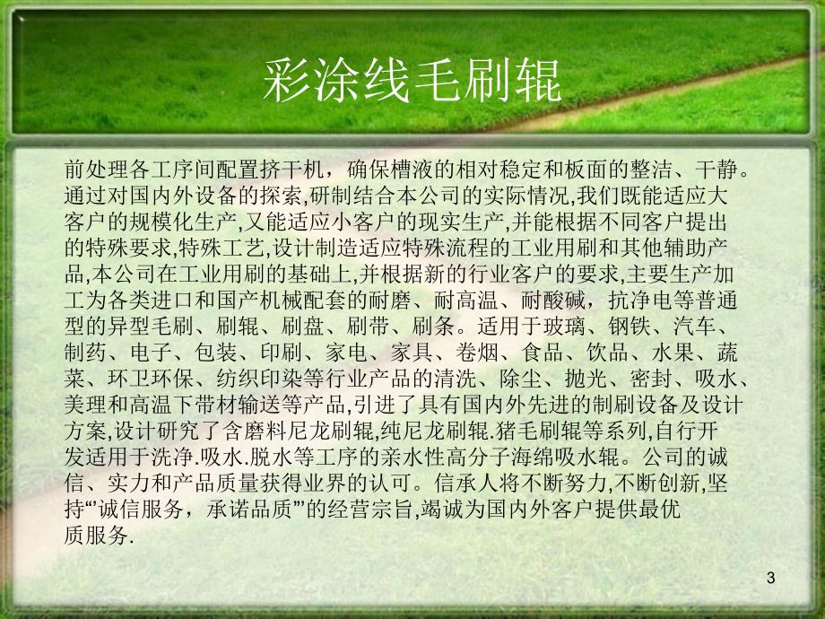 彩涂线毛刷辊_第3页