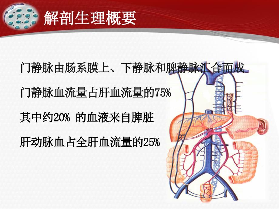 门静脉高压症患者的护理_第2页