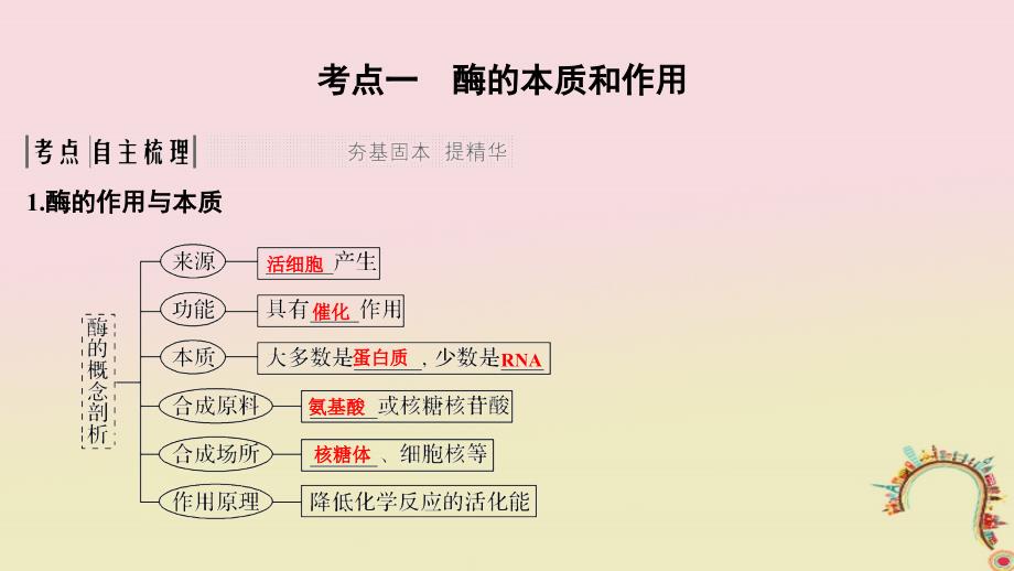 生物第四单元 细胞的能量供应与利用 第6讲 酶的本质、特性及相关实验探究创新备考 中图版_第2页