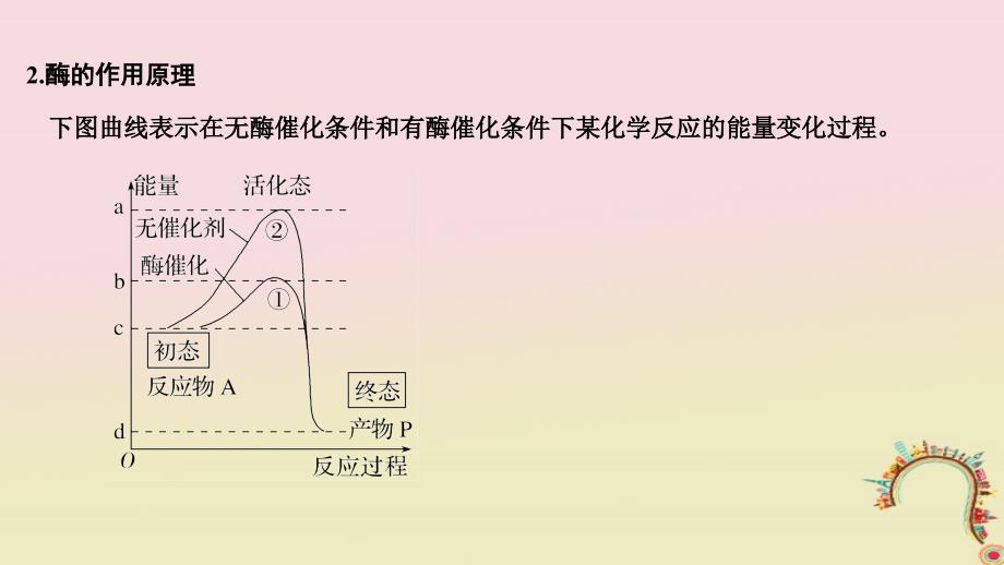 生物第四单元 细胞的能量供应与利用 第6讲 酶的本质、特性及相关实验探究创新备考 中图版_第3页