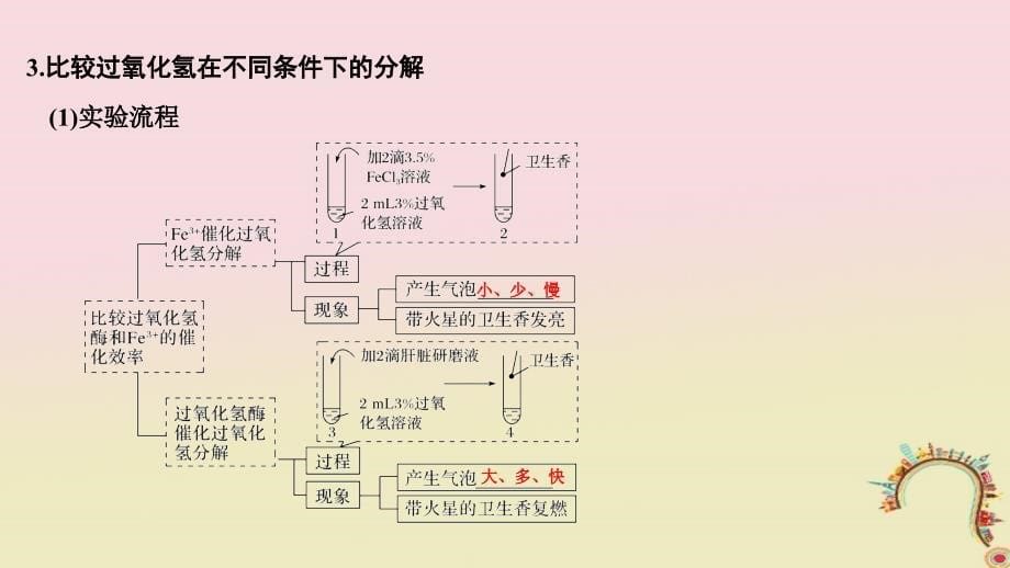 生物第四单元 细胞的能量供应与利用 第6讲 酶的本质、特性及相关实验探究创新备考 中图版_第5页