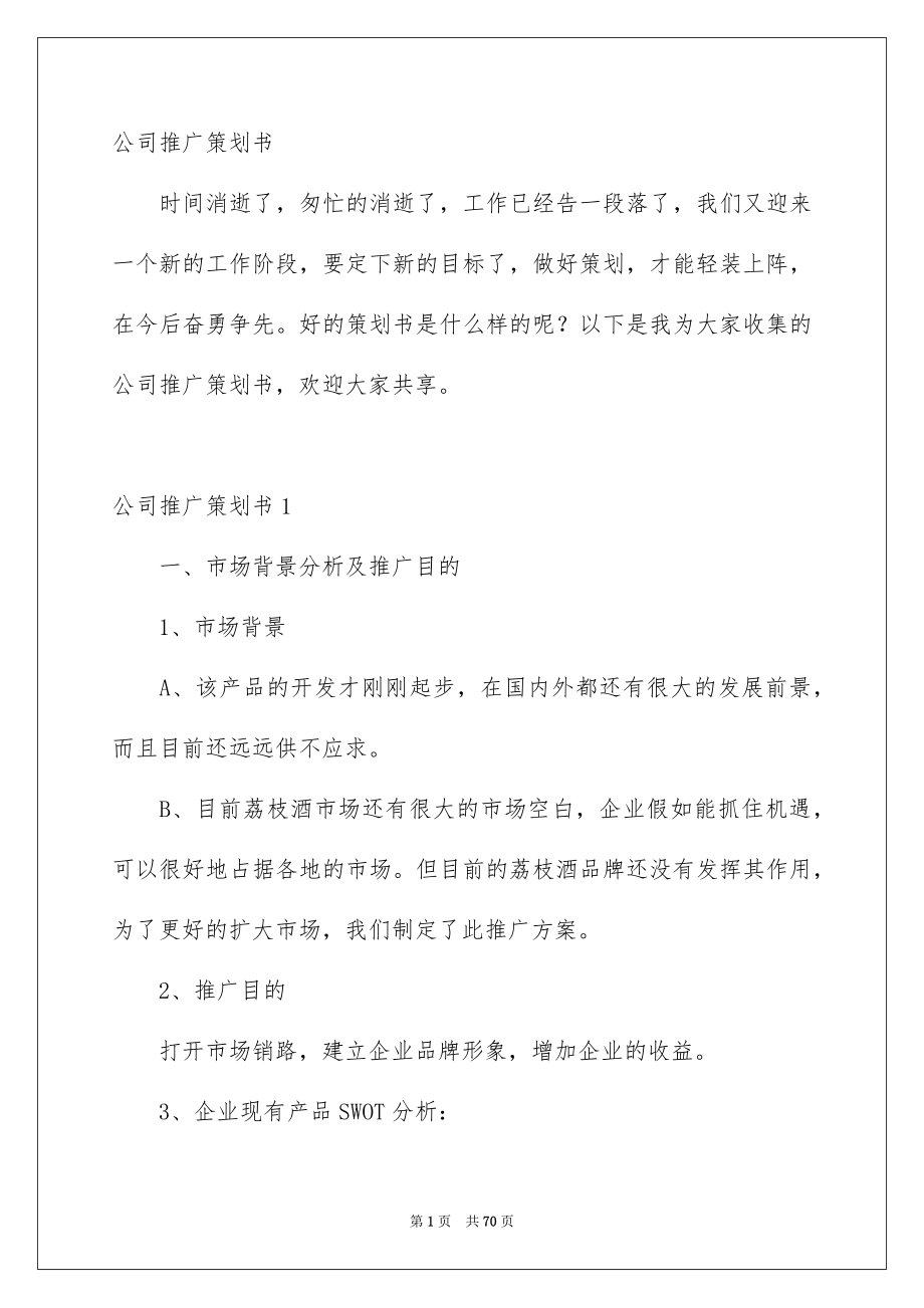 公司推广策划书_第1页