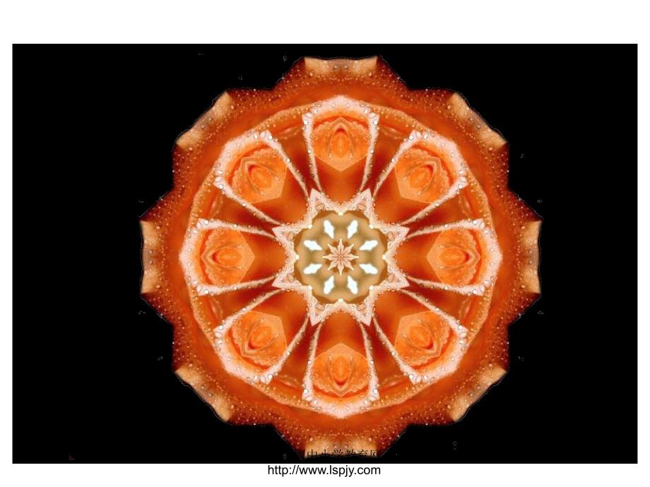 北师大版六年级上册数学欣赏与设计PPT优秀课件_第2页