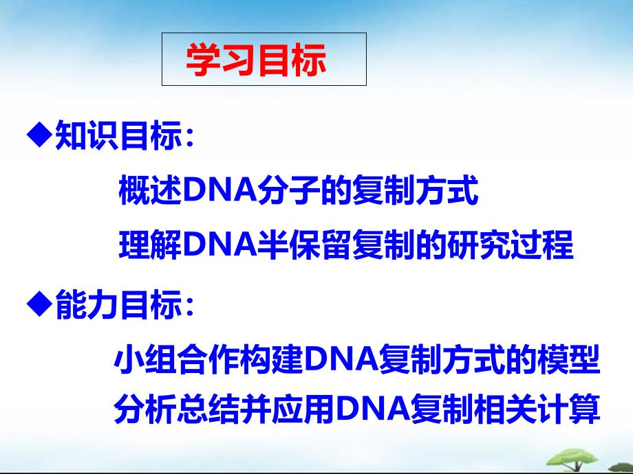 DNA的复制方式.ppt_第2页