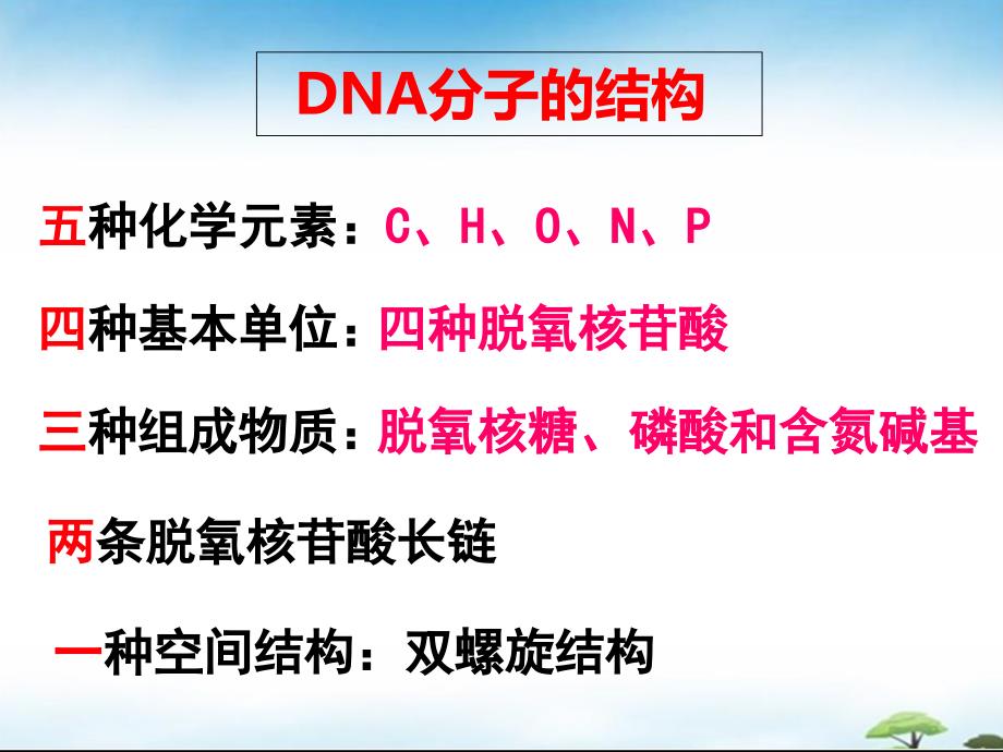 DNA的复制方式.ppt_第3页