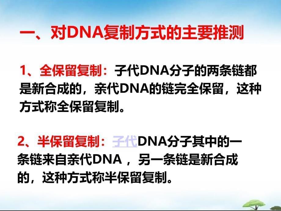 DNA的复制方式.ppt_第5页