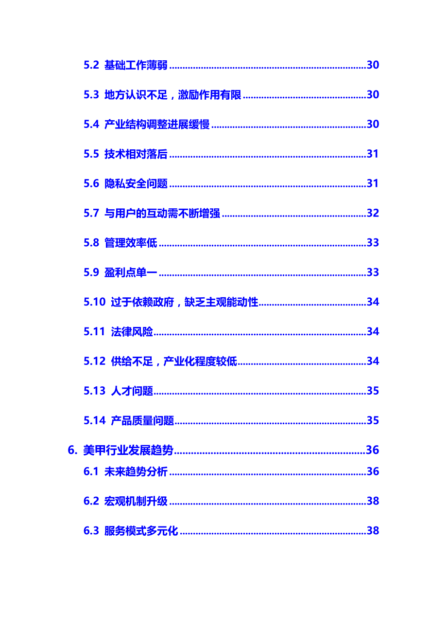 2020年美甲行业调研分析报告_第4页